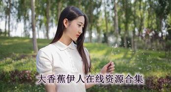 国产色伊人,探寻东方美学的独特魅力